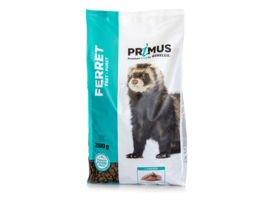Benelux Primus Ferret