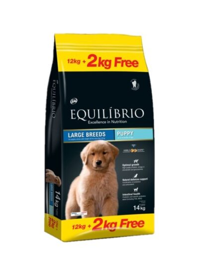 Equilibrio Dog Puppy Large Breed