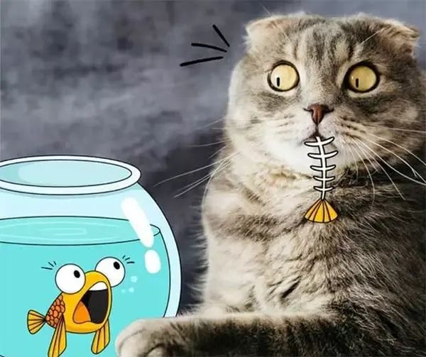 изображение на изненадана котка която е изяла любимата си храна от онлайн магазин Daneni