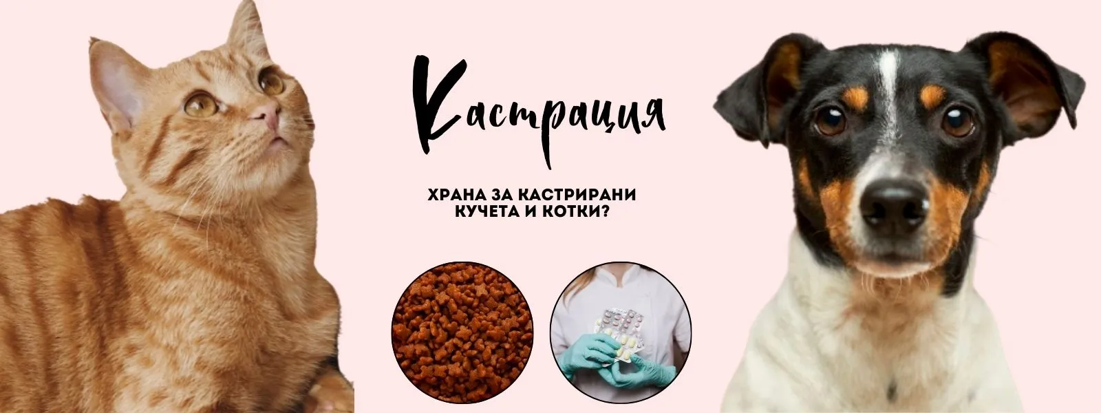 Диетична храна след кастрация и стерилизация за кучета и котки.