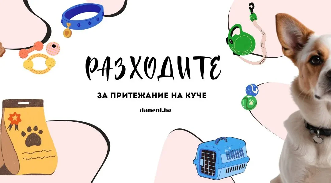 Разходите за притежание на куче