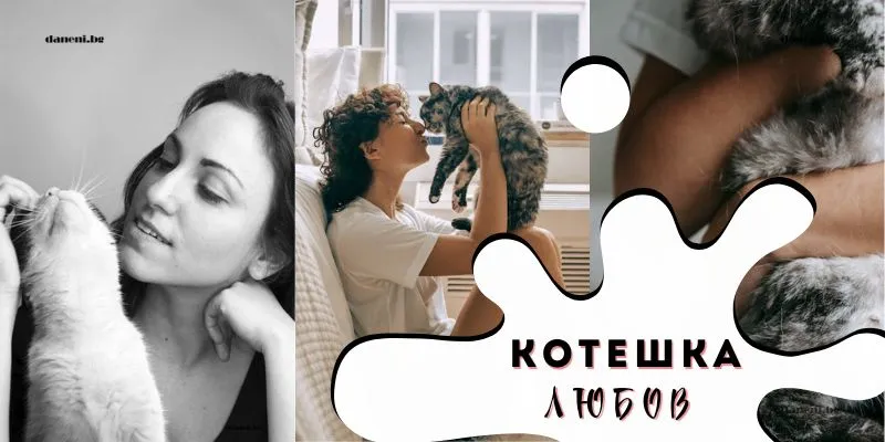 Любовта на котката: Как да разберете дали сте били “избрани”?