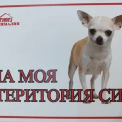 Табелка за врата с надпис аз пазя тук изибражение на куче от порода Чихуахуа