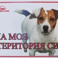 Табелка за врата с надпис аз пазя тук и изображение на куче Джак Ръсел