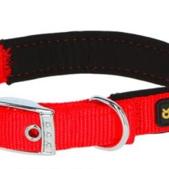KERBL Нашийник MIAMI PLUS 38-46 см/25 мм червен
