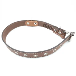 Кожен нашийник за куче - 2,5 / 57 см