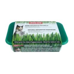 Котешка трева Zolux, 250 гр